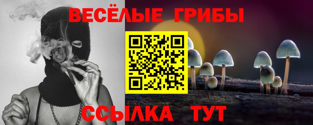 Ефремов  Галлюциногенные грибы Cubensis  Вход с VPN 